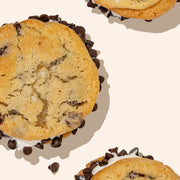 chocolate chip cookie sandwich